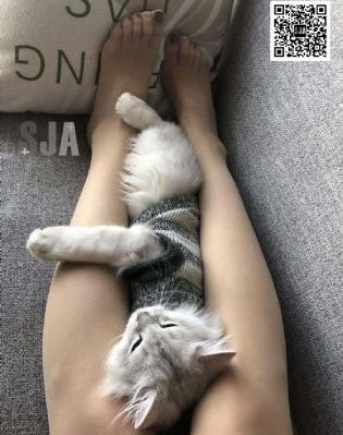 心愿房间_BD国语电影免费在线