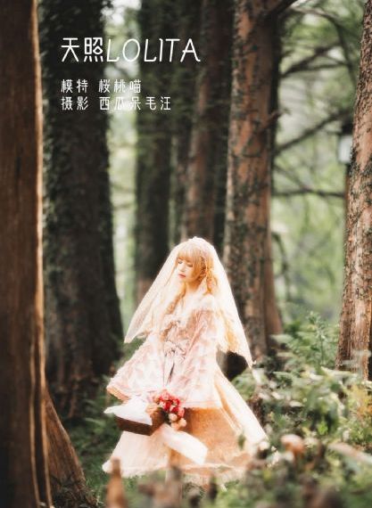 忠诚的代价_高清迅雷电影在线