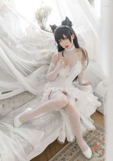 啄木鸟电影在线观看_BD手机在线看
